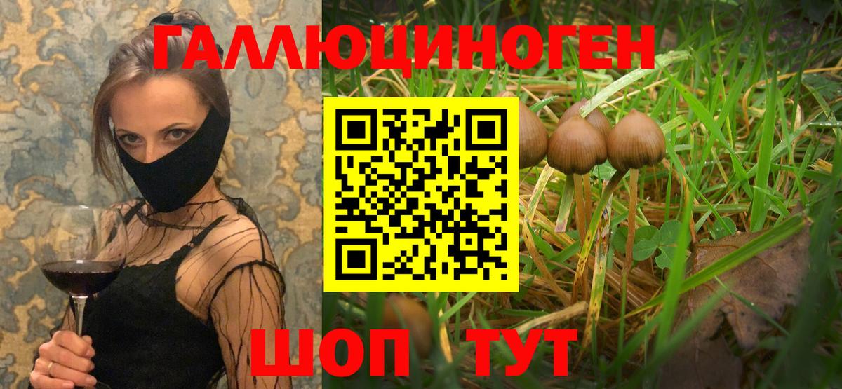 Псилоцибиновые грибы мицелий Нефтекумск