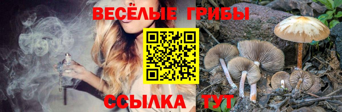 Нефтекумск  Псилоцибиновые грибы Psilocybine cubensis  закладка  Вход с VPN 